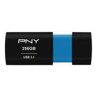PNY Elite-X 256GB