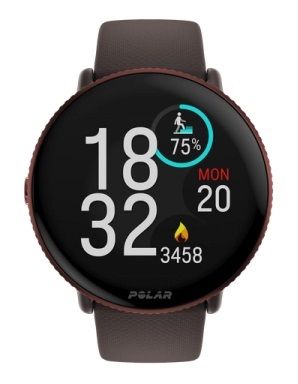 Polar Ignite 3 Brown Copper