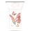 Pupa Palette Occhi e Labbra Butterfly