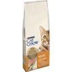 Purina Cat Chow Adult Salmone Secco 15kg