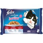 Purina Le Ghiottonerie Junior Selezioni Deliziose 4x100g