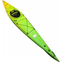 Rainbow Oasis 3.50 Young Base