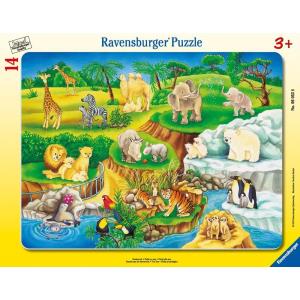Ravensburger Allo Zoo (06052)