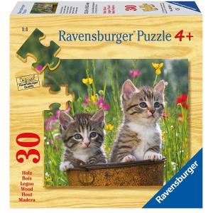 Ravensburger Gattini