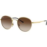 Ray-Ban RB3681 Oro Lenti Marroni