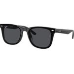 Ray-Ban RB4420 Lucido Nero Lenti Grigie