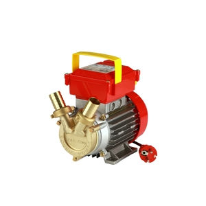 Rover Pompa Bisenso 25 CE