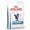 Royal Canin Veterinary Anallergenic Adult Gatto - secco 4kg
