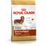 Royal Canin Bassotto Tedesco Adult - secco 1.5Kg