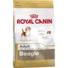 Royal Canin Beagle Adult - secco 12kg