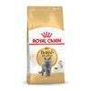 Royal Canin British Shorthair Adult - secco 10Kg
