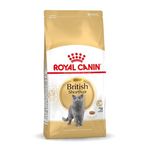 Royal Canin British Shorthair Adult - secco 4Kg