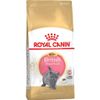 Royal Canin British Shorthair Kitten - secco 10Kg