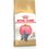 Royal Canin Kitten British Shorthair Gatto - secco