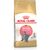 Royal Canin Kitten British Shorthair Gatto - secco 2Kg