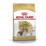Royal Canin Cavalier King Charles Adult - secco 3Kg