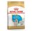 Royal Canin Golden Retriever Junior - secco