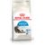 Royal Canin Indoor Long Hair Gatto - secco 4Kg