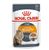 Royal Canin Intense Beauty In Jelly per Gatto 85g - umido
