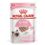 Royal Canin Kitten Patè Gatto - umido