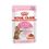 Royal Canin Kitten Sterilised Gatto - umido