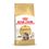 Royal Canin Adult Maine Coon Gatto - secco