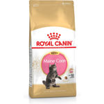 Royal Canin Maine Coon Kitten - secco