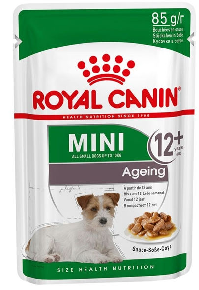 Royal Canin Mini Ageing 12+ Cane - umido 85g