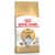 Royal Canin Norwegian Forest Adult - secco 10kg