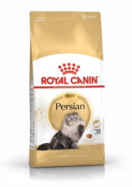 Royal Canin Adult Persian Gatto - secco 10kg