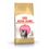Royal Canin Kitten Persian Gatto - secco