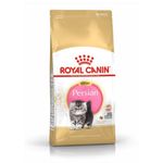 Royal Canin Kitten Persian Gatto - secco 4kg