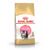 Royal Canin Kitten Persian Gatto - secco 4kg