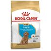 Royal Canin Puppy Poodle - secco 3Kg