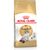 Royal Canin Ragdoll Adult - secco 10Kg