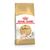 Royal Canin Sphynx Adult - secco 2Kg