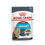 Royal Canin Urinary Care in salsa - Gatti
