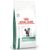 Royal Canin Veterinary Diabetic Adult Gatto - secco 400g