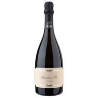 Ruggeri Extra Dry Giustino B Conegliano Valdobbiadene Prosecco DOCG Bottiglia Standard