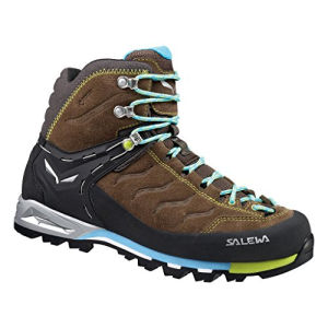 Salewa Mountain Trainer Mid Gore-Tex