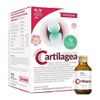 Salugea Cartilagea Flaconcini 18 flaconcini