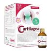 Salugea Cartilagea Flaconcini 18 flaconcini