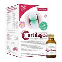 Salugea Cartilagea Flaconcini 18 flaconcini