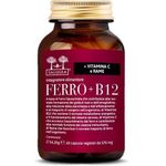 Salugea Ferro + B12 Capsule 60 capsule