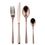 Sambonet Taste set di posate