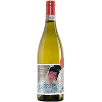 Santa Barbara Tardivo Ma Non Tardo Verdicchio Castelli di Jesi DOC