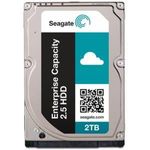 Seagate Enterprise Capacity 2.5 HDD ST2000NX0253