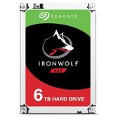 Seagate IronWolf 6TB