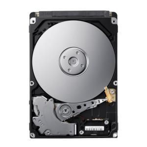 Seagate Momentus Spinpoint- 500 GB - 2.5" - SATA-300 - 5400 rpm