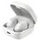 Sennheiser Accentum True Wireless